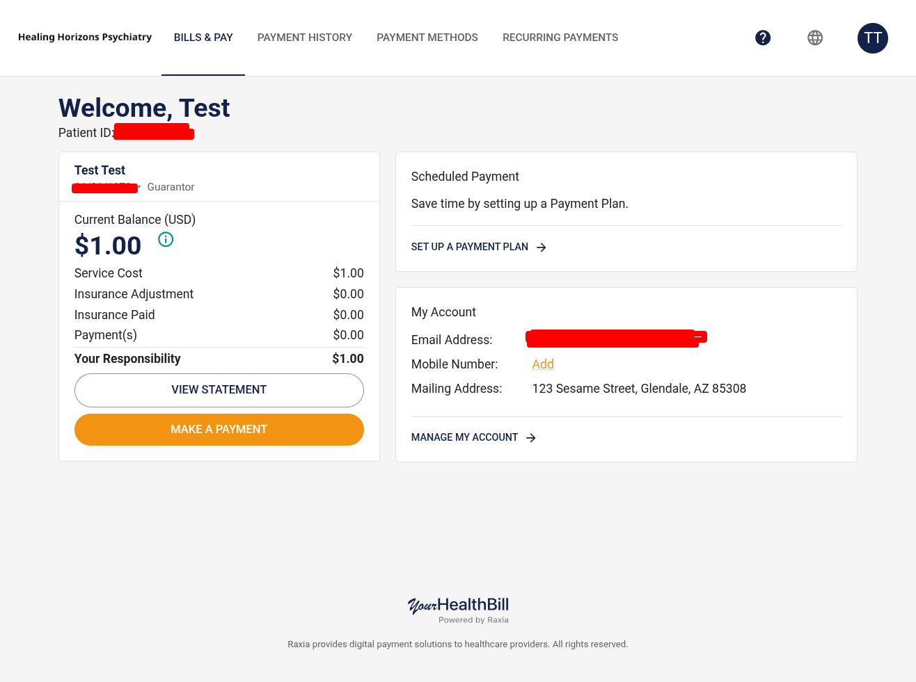 The YourHealthBill dashboard showing your current balance, with View Statement and Make a Payment buttons